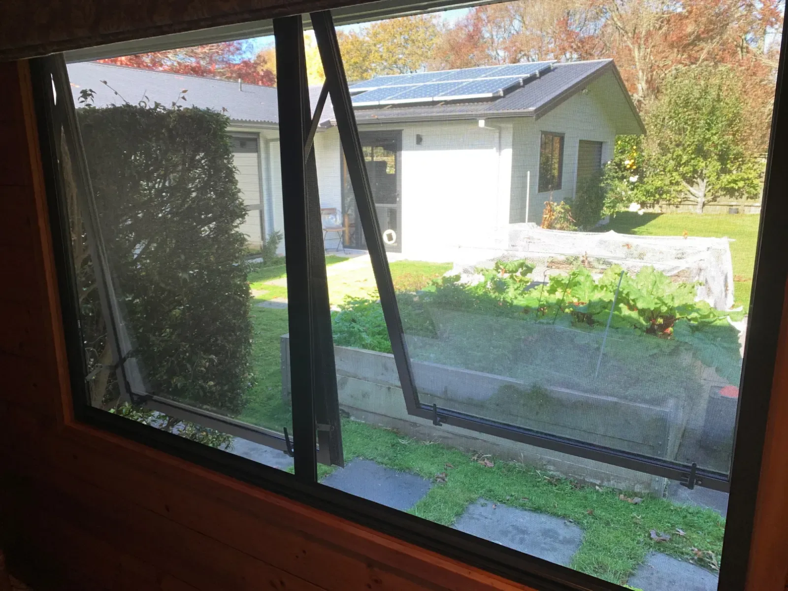 Olive Serene window screen over an awning window, framing a Matangi vegetable garden