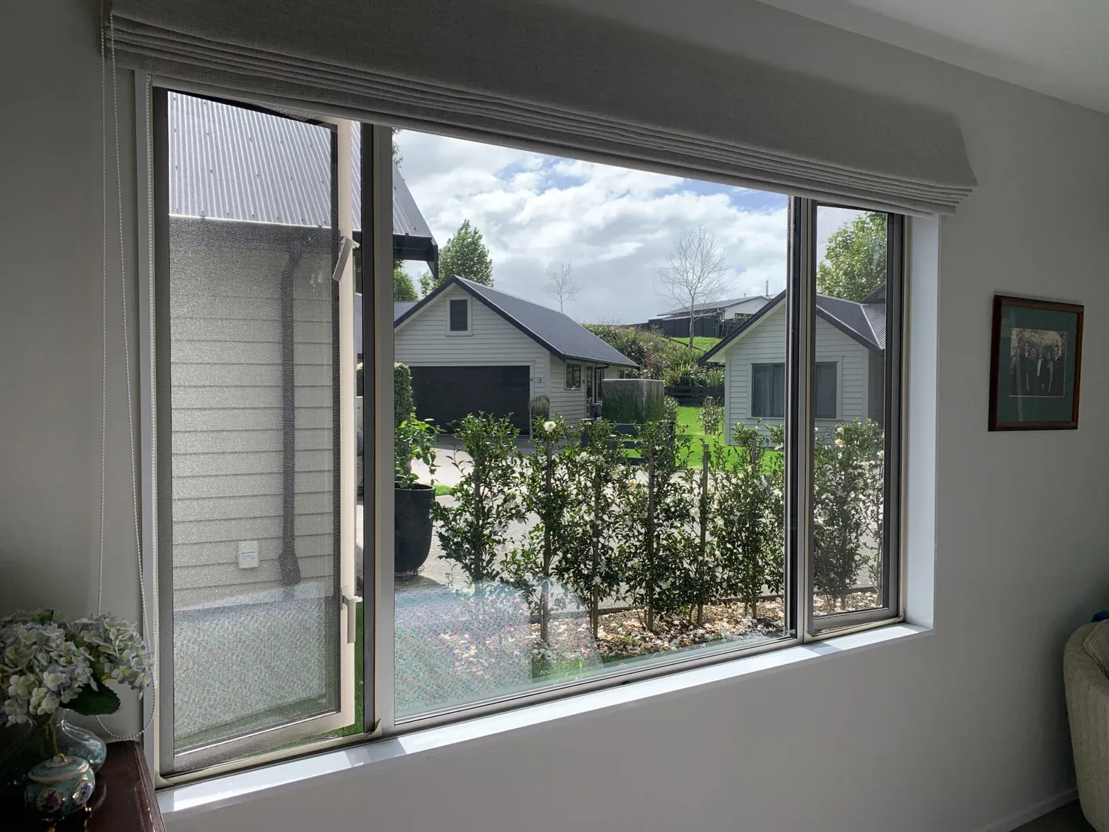 A magnetic insect screen on a picture window looking out to a hedge and neighbouring homes