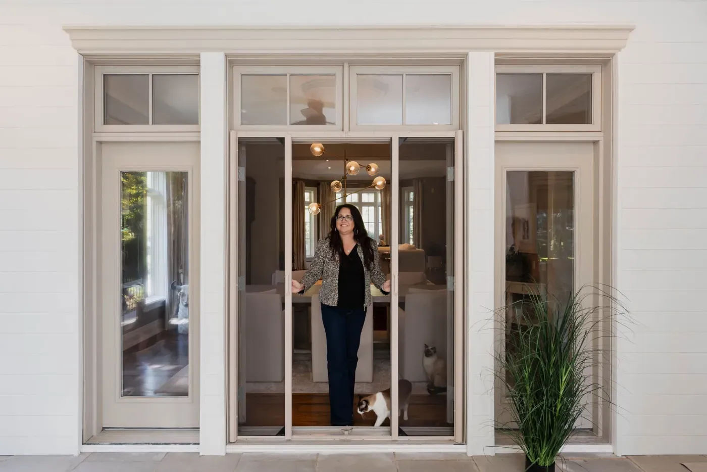 Two cats at a doorway fitted with retractable insect screens
