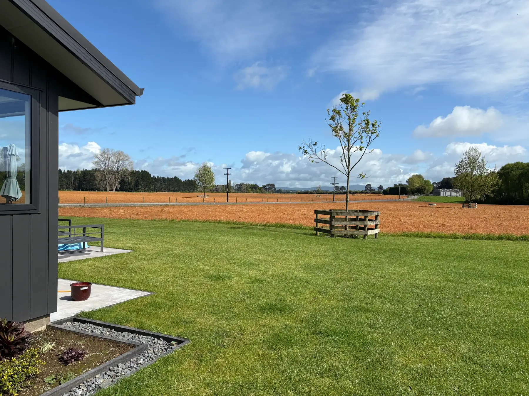 A dark-clad new-build home, its lawn running out to open Waikato paddocks under a wide sky